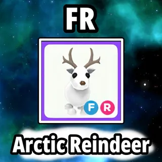 FR Arctic Reindeer
