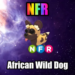 NFR African Wild Dog