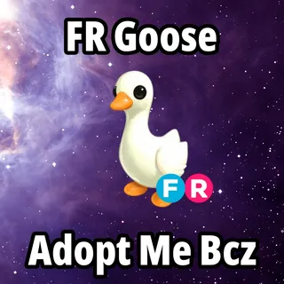 FR Goose