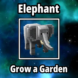 3x Elephant