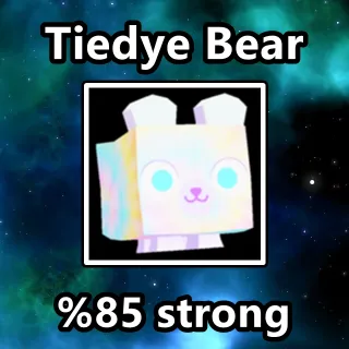 Tiedye Bear