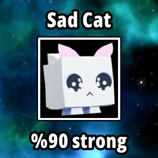 Sad Cat