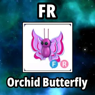 FR Orchid Butterfly