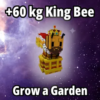 60 kg King Bee