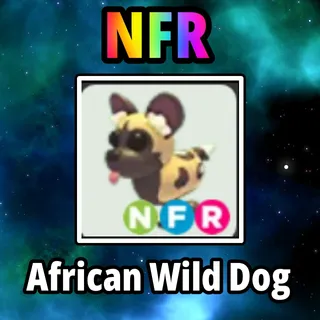 NFR African Wild Dog