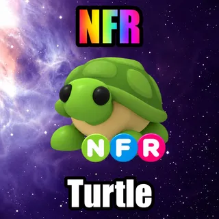 NFR Turtle