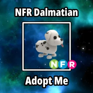 NFR Dalmatian