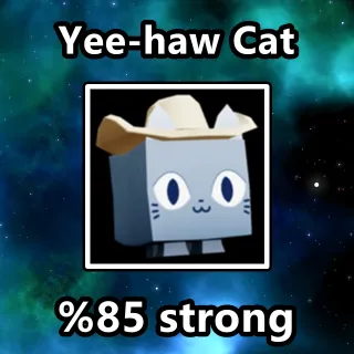 Yee-haw Cat