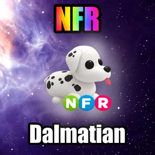 NFR Dalmatian