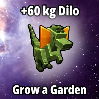 60 kg Dilo