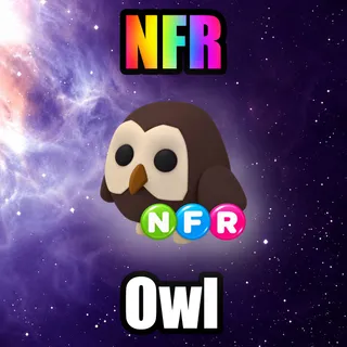 NFR Owl