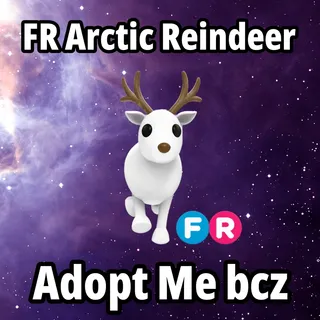 FR Arctic Reindeer