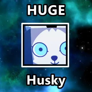 Huge Husky