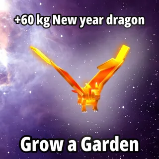 5x 60 kg New Year Dragon