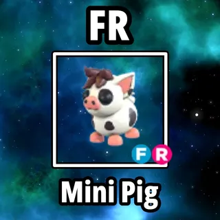FR Mini Pig