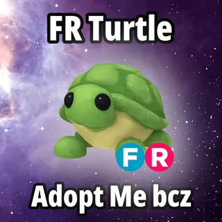 FR Turtle