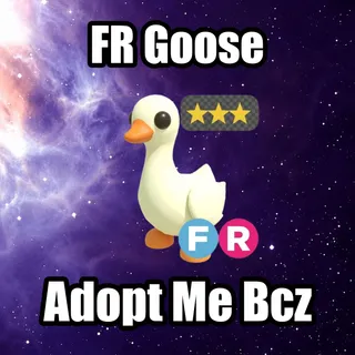 FR Goose