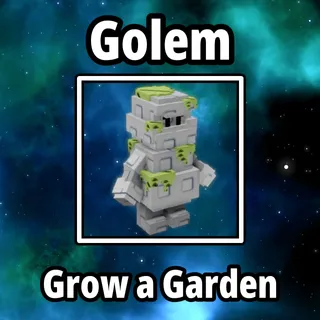 2x Golem