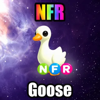 NFR Goose