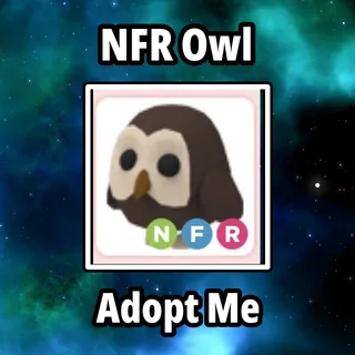 NFR Owl