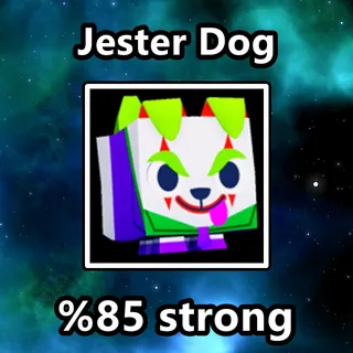 Jester Dog