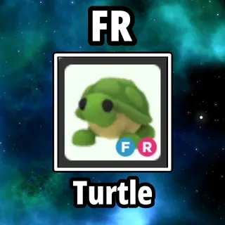 FR Turtle