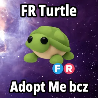 FR Turtle