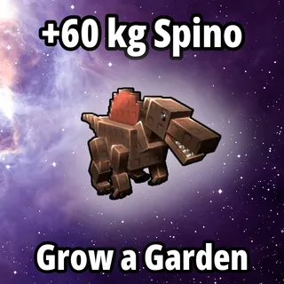 60 kg Spino