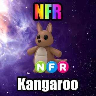 NFR Kangaroo
