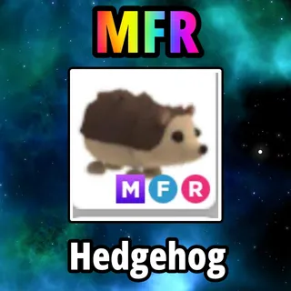 MFR Hedgehog