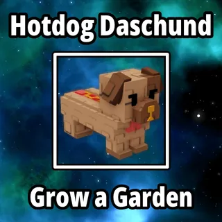 Hotdog Daschund