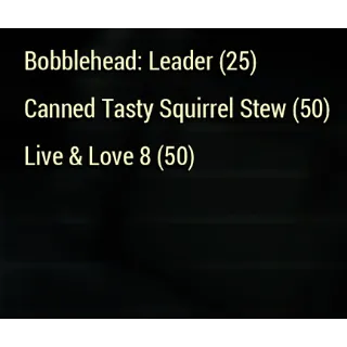 XP Bundle Leader Live & Love 8