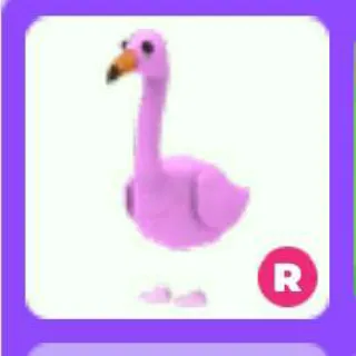 R Flamingo