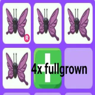 Nr Purple Butterfly