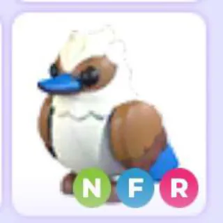 Nfr Kookaburra