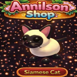 Siamese Cat