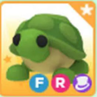 Fr Turtle