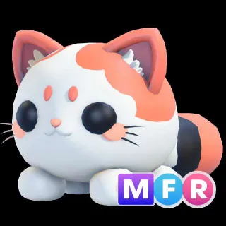 Mfr Mochi