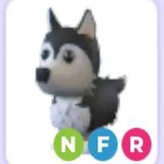 Nfr Husky