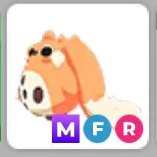 Mfr Cabbit