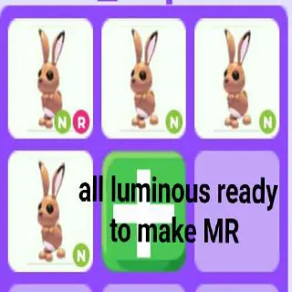 Mr Hare