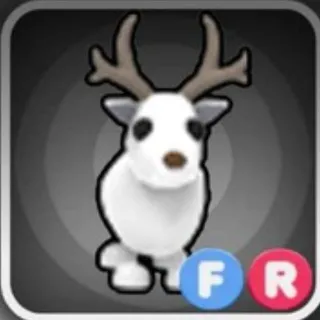 Fr Arctic Reindeer