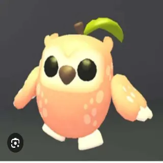 16x Peach Owl