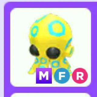 Mfr Blue Ringed Octopus