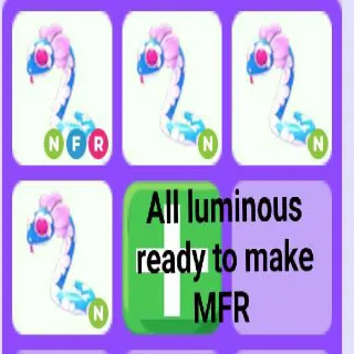 Mfr Blossom Snake