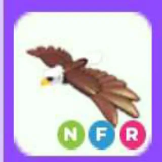 Nfr Bald Eagle