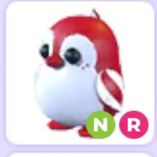 Peppermint Penguin Nr