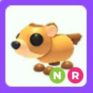 Nr Groundhog