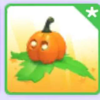 Pumpkin Friend