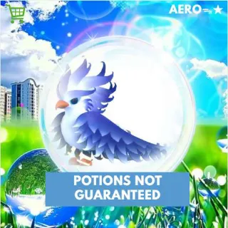 Frost Phoenix